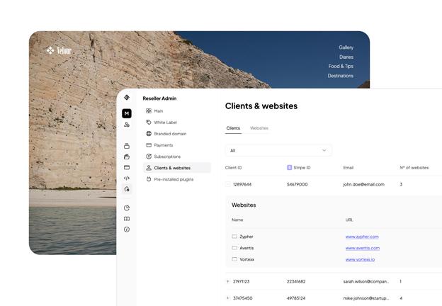 Website project dashboard screenshot