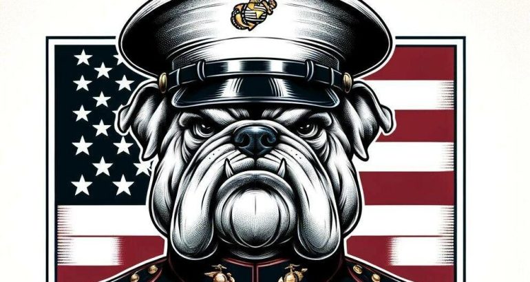 usmc devil dog graphic design project